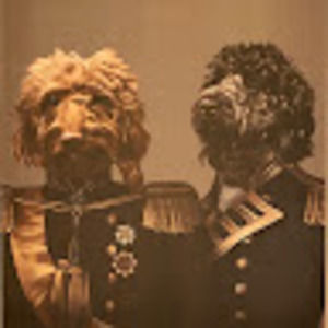 Meet your Posher, Harold